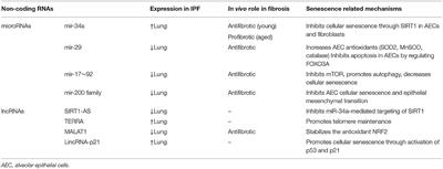 Non-coding RNAs as Regulators of Cellular Senescence in Idiopathic Pulmonary Fibrosis and Chronic Obstructive Pulmonary Disease